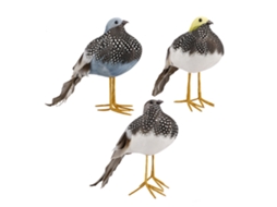 Laxiscreed Conjunto De 3 Pássaros Em Pena Para Decoração De Jardim