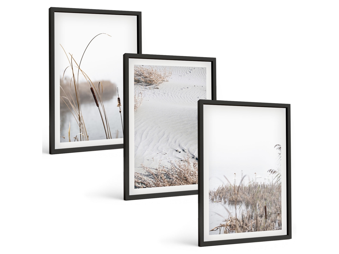 Galeria De Pinturas Murais Vegetação À Beira-mar No Verão Moldura Preta Fotos Para O Escritório Espelharte (3 Piezas De 40x60 Cm)