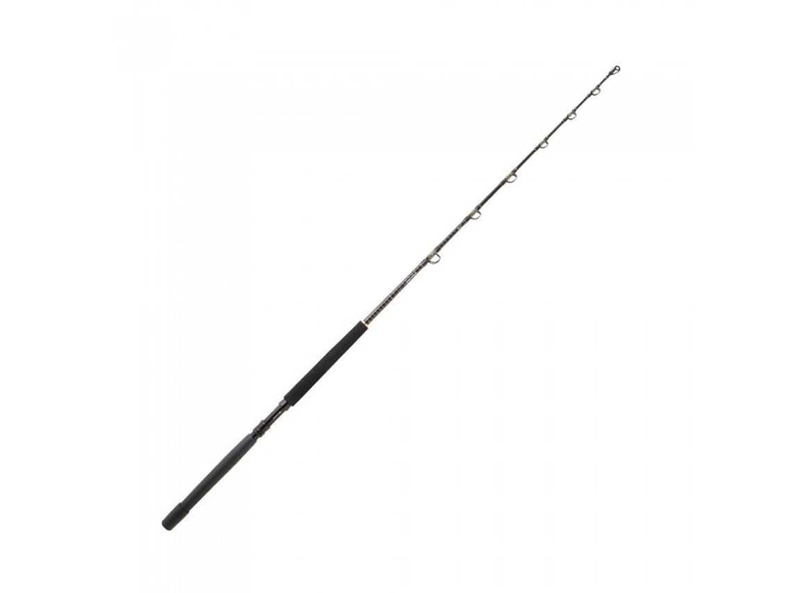 Cana de Fiar DAIWA Sealine X Tr 3050 Ag