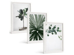 Conjunto De Pinturas Plantas Verdes, Minimalismo Moldura Branca Fotos Para O Escritório Espelharte (3 Piezas De 40x60 Cm)