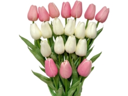 20 Tulipas Artificiais com Toque Realista, Brancas e Rosas, 32cm