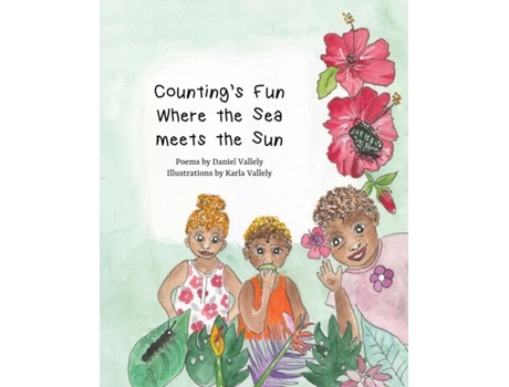 Livro Countings Fun Where The Sea Meets The Sun De Dan Vallely (inglês)