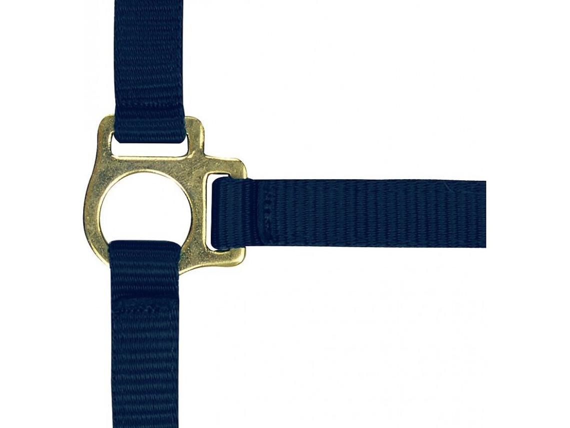 Cabresto para potro e corda de chumbo Norton