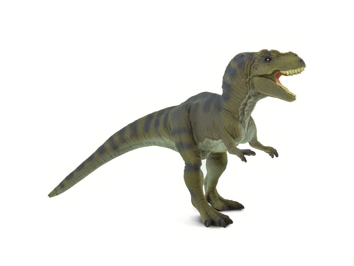 SAFARI Tyrannosaurus Rex Dino