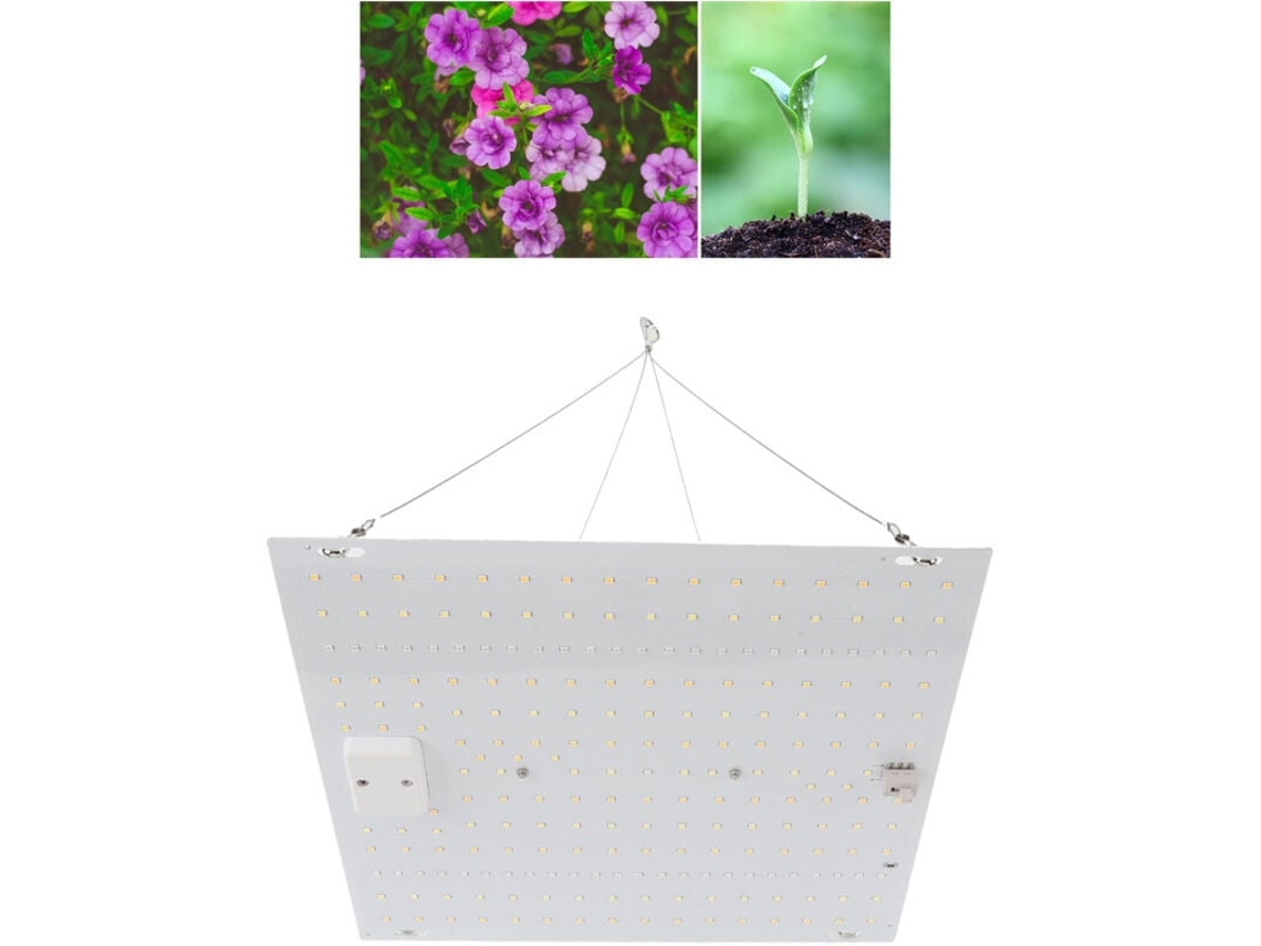 Lâmpada Led Para Cultivo De Plantas De Interior, à Prova Dágua Ip65, Espectro Completo, Ideal Para Mudas, Fases Vegetativa E De F Aquaforge