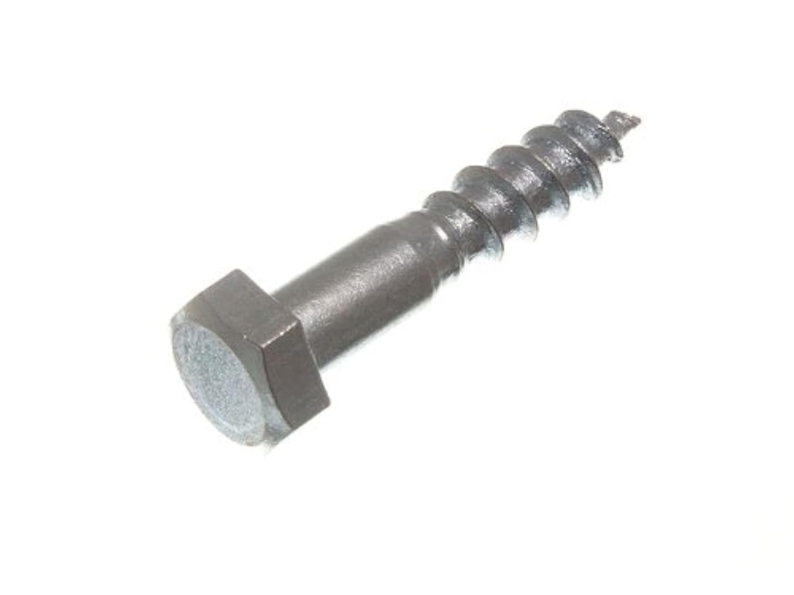 Kit Completo Para Projetos "faça Você Mesmo" Com 50 Parafusos De Cabeça Sextavada Bzp M8 X 40 Mm
