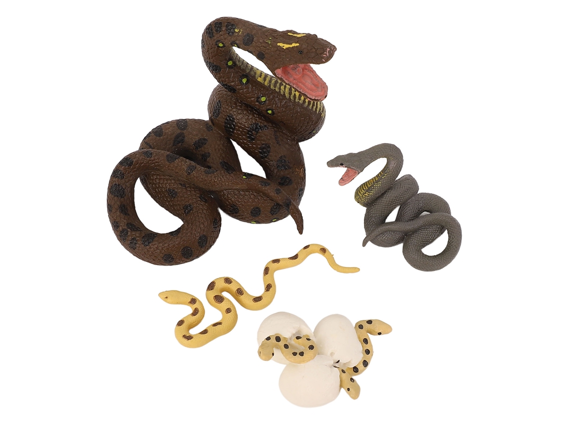 Primerox 4 Pcs Modelos de Ciclo de Crescimento de Cobra Pvc Realistas Brinquedos Educativos para Crianças