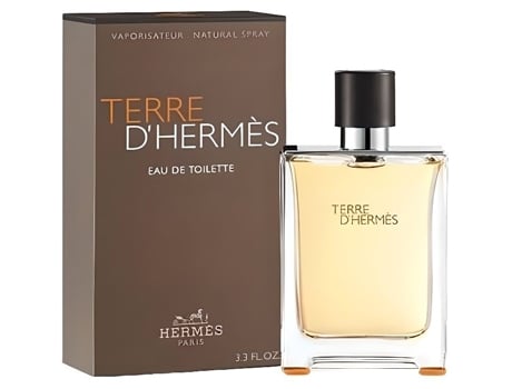 Terre D'Hermes Eau de Toilette para Homens 100Ml GENERIQUE