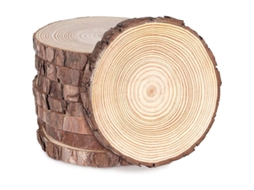 2026 8 Fatias de Madeira Redonda Natural 16 17cm 15mm Espessura para Artesanato Diy Decoração de Casamento Natal