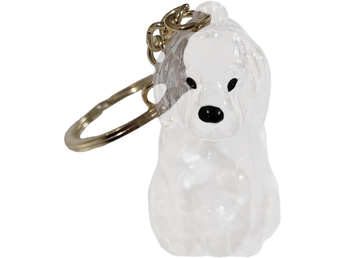 Caixa Transparente E Decorativa Guardar Pelos De Cachorro, Ideal Chaveiros E Presentes, Com Tema Beagle