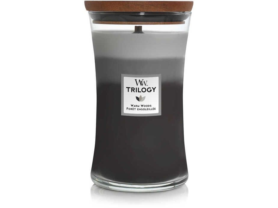 Velas Grandes Vidro Woodwick 93911e