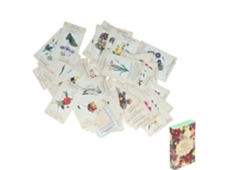 Primerox baralho Oracle para Iniciantes com 45 Cartas Holográficas Guiance e Adivinhação em Inglês