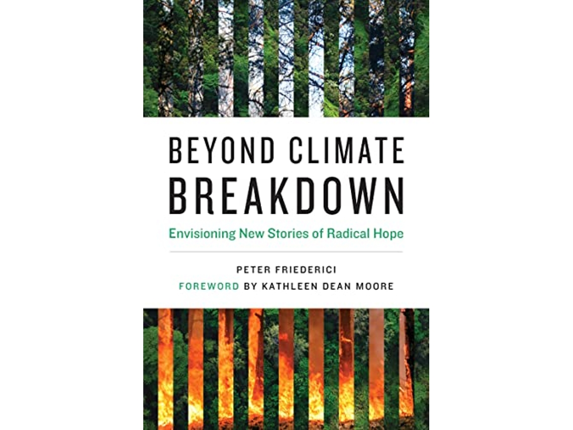Livro Beyond Climate Breakdown de Peter Friederici (Inglês)