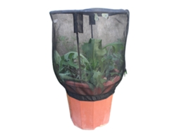 Capa De Malha Com Zíper Proteção Plantas Jardim