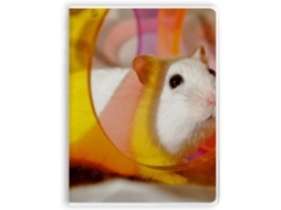 Carnet De Notas Com Sopa De Cobertura Motif Rat Blanc