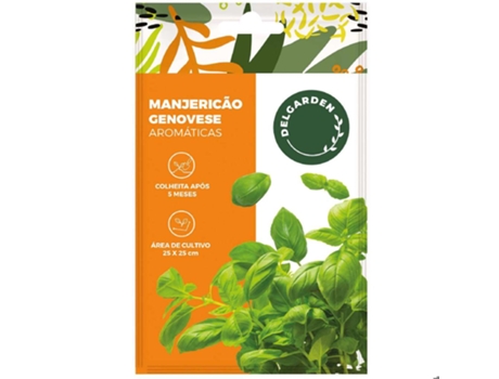 Sementes Aromáticas Manjerico Grande Verde