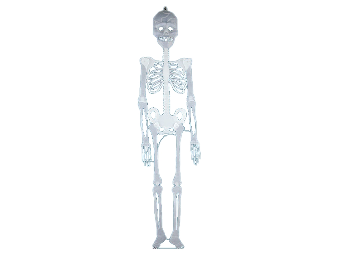 Esqueleto de Halloween Esqueleto Luminoso Que Brilha no Escuro para Decoração de Festa de Halloween Adereços