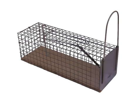 CAUSSADE CARNASSB Rats & Mice - 2 armadilhas de cola -Cau
