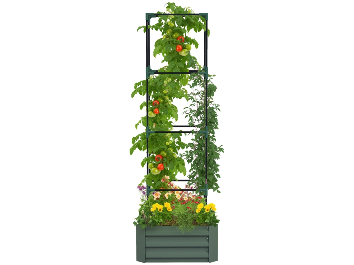 Vaso com Treliça Ajustável. Recipiente de Flores com Gaiola de Tomate Aço Galvanizado 61 X 61 X 187 Cm Verde Ge