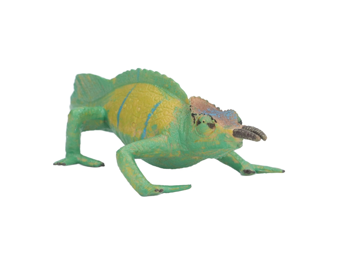 Figuras de Anolis da WalshLXq, Texturas Únicas, Cores Vibrantes, Animais Selvagens para Decoração de Casa, Presentes, Material Educativo