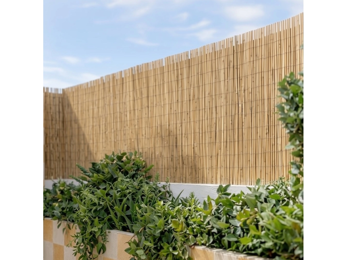 Catr Reedcane Plus 1x5m Nt X2