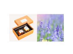 Set De Presente De Cera De Soja Com Óleo Essencial Para Aromaterapia No Quarto