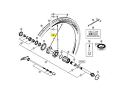 Shimano 9000/Rs81 C50 Rear Left Spoke