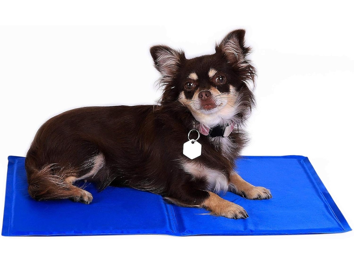 Tapete Refrescante, para Pets, 50x40 Cm, Azul AQUAFORGE