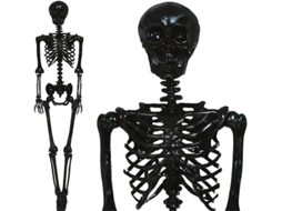 Esqueleto preto 160 cm