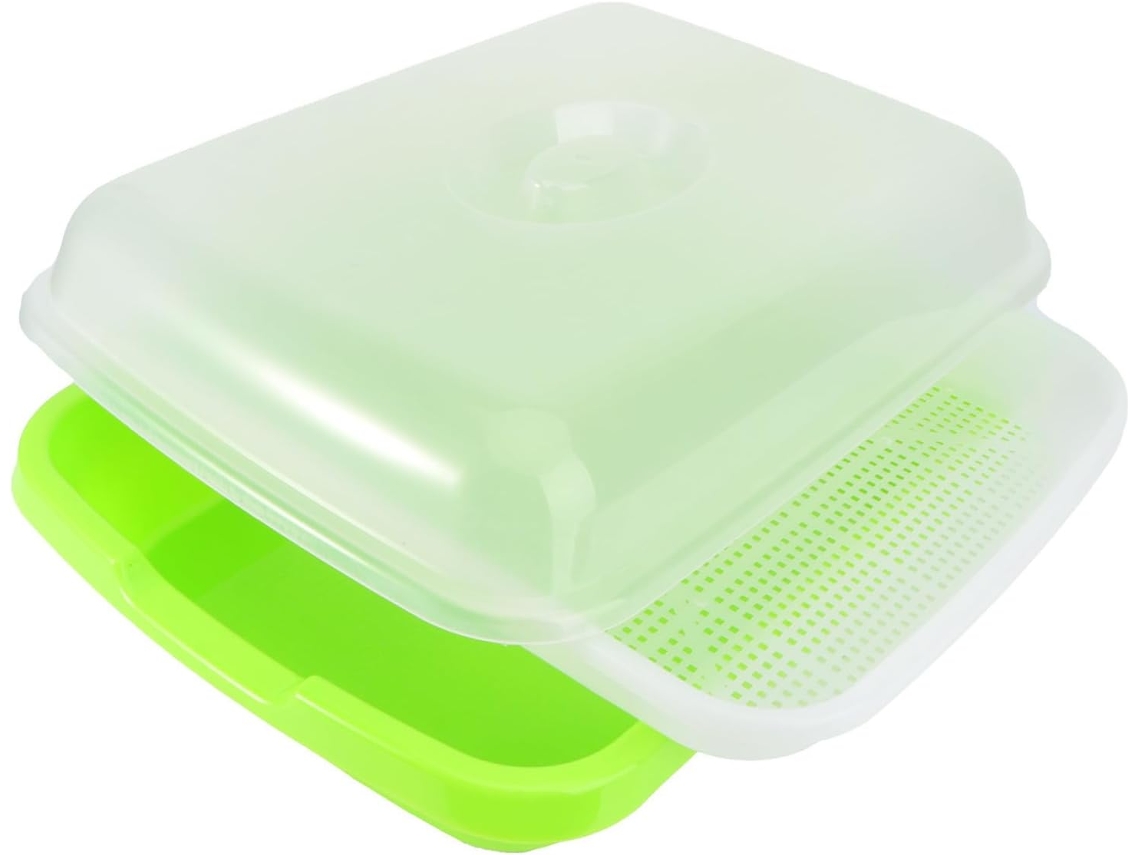 Bandeja de Plástico Inoomp com Tampa para Germinação e Conservação da Umidade de Feijão Mungo e Grãos para Sanduíches e CHABERLU
