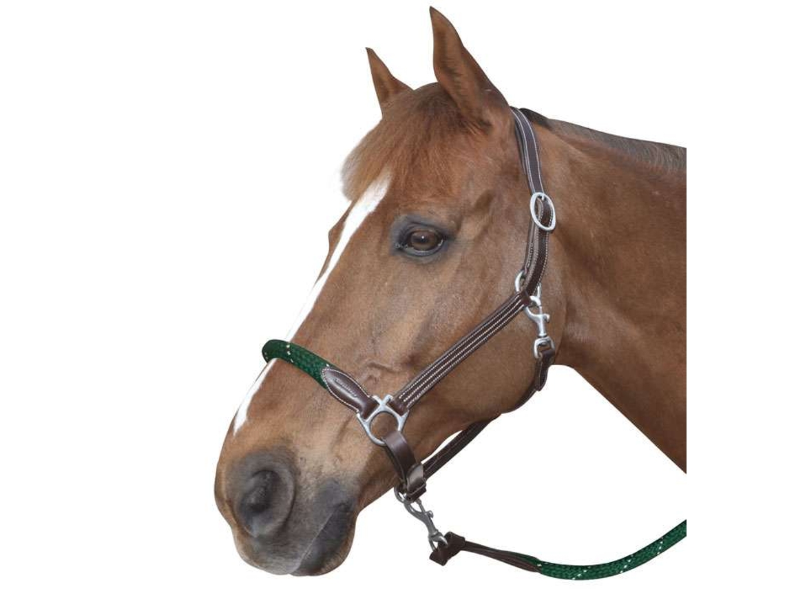 Cabresto de corda com fivelas brancas para cavalos Canter
