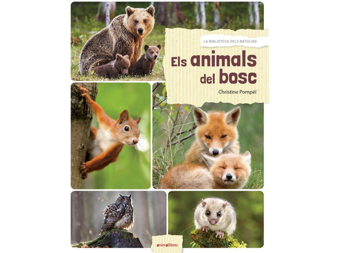 Livro (Espanhol)