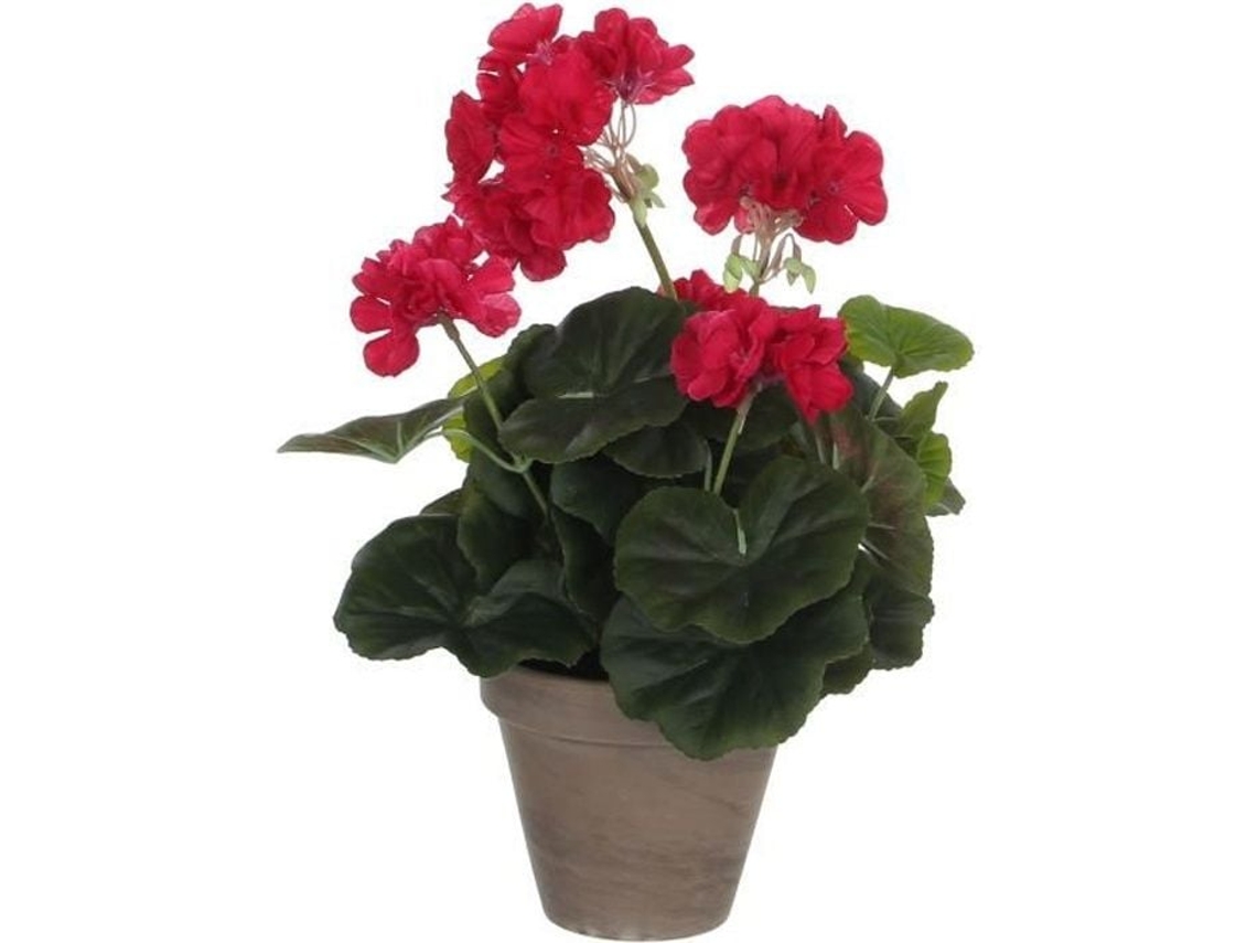 Planta Artificial, Decorações de Mica, Gerânio, Rosa Escuro, A34 X Ø20 Cm, Sem Necessidade de Manutenção Rosa Escuro BRILVIBERA