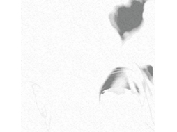 CD Marble House - Ember (1CDs)