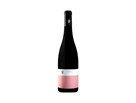 Bender Pinot Noir 2022 ANDREAS BENDER