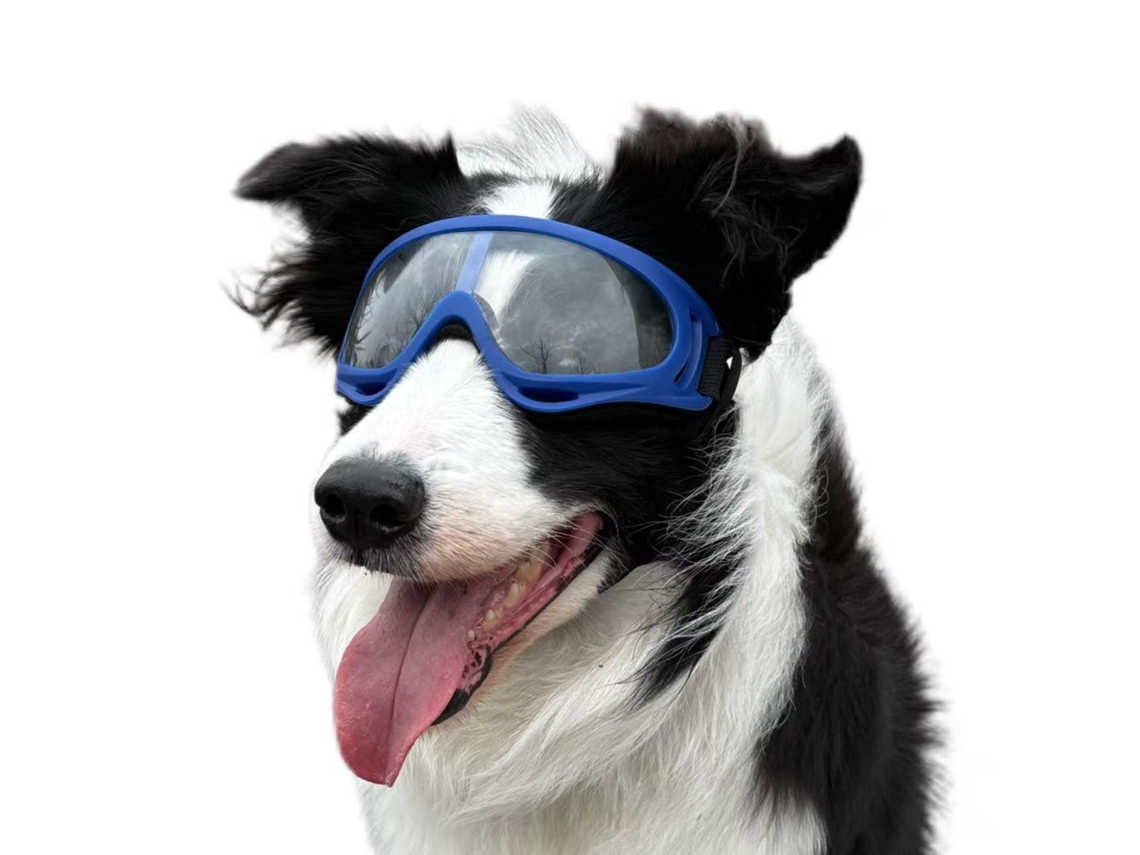 Lunetas De Sol Com Motivo Chien Com Proteção Uv E Faixa Dupla Adaptadas Ao Conduíte, Protegendo A Eficiência Contra A Ventilação E O Poussière