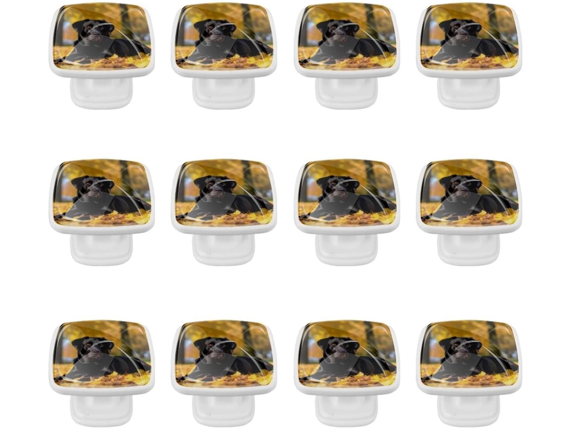 Puxadores Quadrados Para Armários De Cozinha, Puxadores Para Gavetas De Cômoda, 12 Peças, Cachorro Labrador Retriever