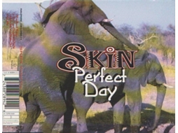 CD Skin  - Perfect Day (1CDs)