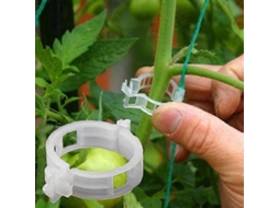 Suportes de Plástico para Plantas Jardim, Tomates AQUAFORGE