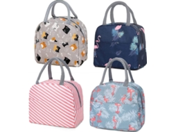 Aquaforge 4 peças reutilizáveis bolsa de almoço portátil, bolsa de piquenique isolada, bolsa térmica e lancheira