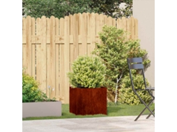 Vidaxl Floreira Enferrujada 40x40x40 Cm Aço Resistente