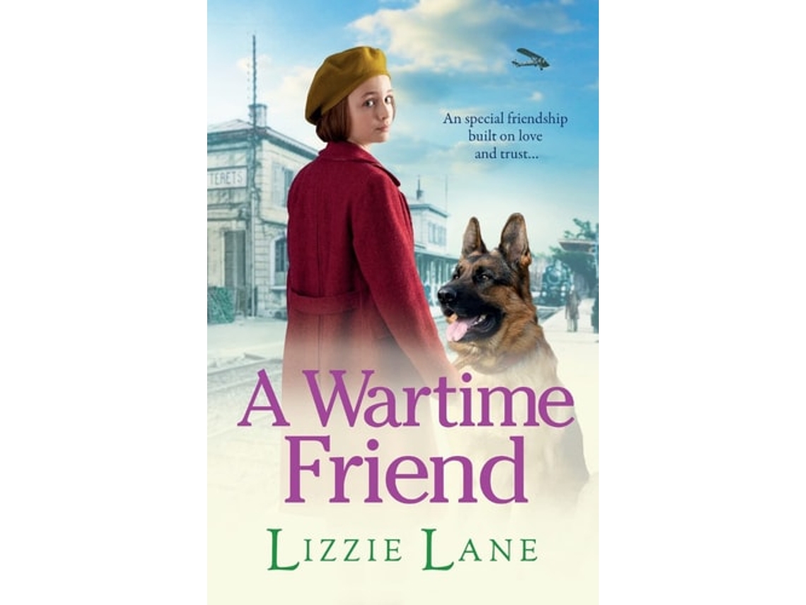 Livro A Wartime Friend De Lizzie Lane (inglês)
