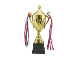 O Novo Troféu De Jogo 1pcs Allinless