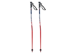SWIX Poloneses Wc Pro Sg Junior Prateado 105 cm