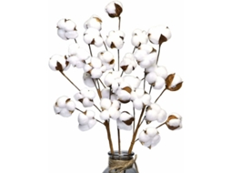 3 Pacotes com 10 Flores Artificiais de Algodão Seco Cada. AQUAFORGE