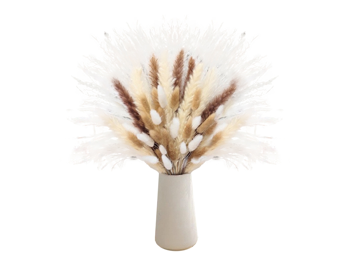 Laxiscreed Flores Secas Brancas Reed Rabbit Tail Para Decoração Com Caixa De Pele De Vaca