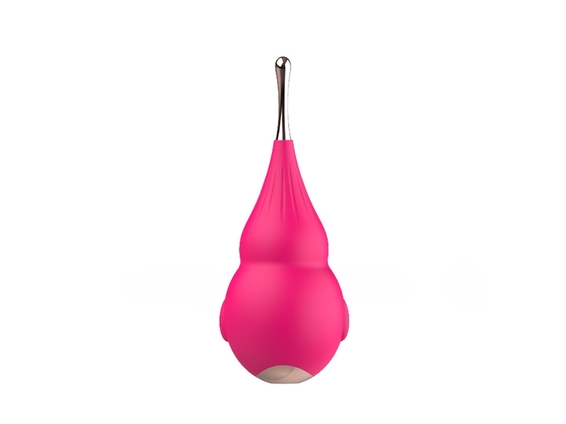 Vibrador De Massagem De Silicone Prova Dgua De 12 Frequncias Para Mulheres (rosa Vermelha)