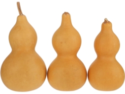 3 Peças De Decoração Em Calebasse Synthétique Kaki De Gourde,