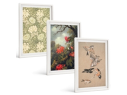 Composição De Quadros Na Parede Flores, Pássaros, Natureza, Natureza Moldura Branca Pinturas De Quarto Espelharte (3 Piezas De 40x60 Cm)