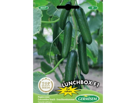 Sementes  Pepino Snack Lunchbox F1